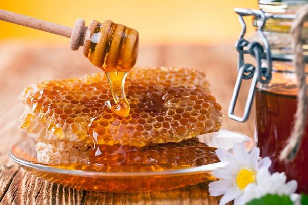 چه عواملی بر بالا رفتن قیمت عسل کوهی موثر است؟