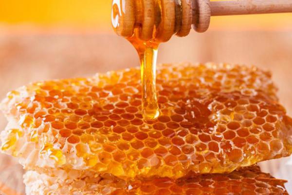 عسل بهترین انتخاب برای صادرات