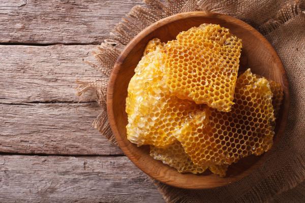 خرید مستقیم عسل موم دار طبیعی از بهترین فروشنده