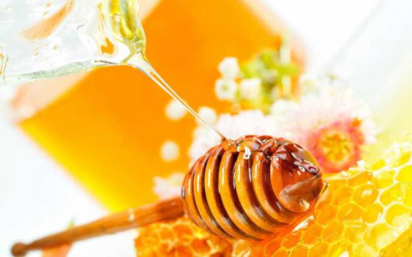 خاصیت ضد میکروبی انواع عسل طبیعی اکالیپتوس