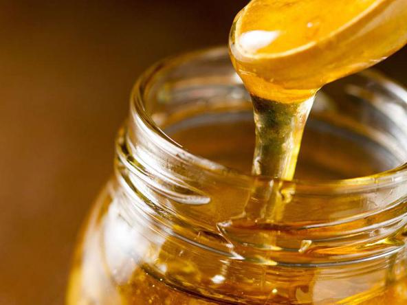 مختصری درباره تولید انواع عسل گون