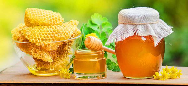 مرکز عرضه عسل گون آویشن طبیعی