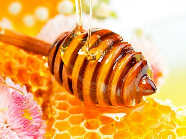 فروش مستقیم عسل موم دار طبیعی چهل گیاه