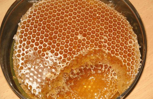 قیمت عمده عسل طبیعی کوهستانی اکالیپتوس