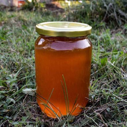 درمان مشکلات سینوسی با مصرف عسل