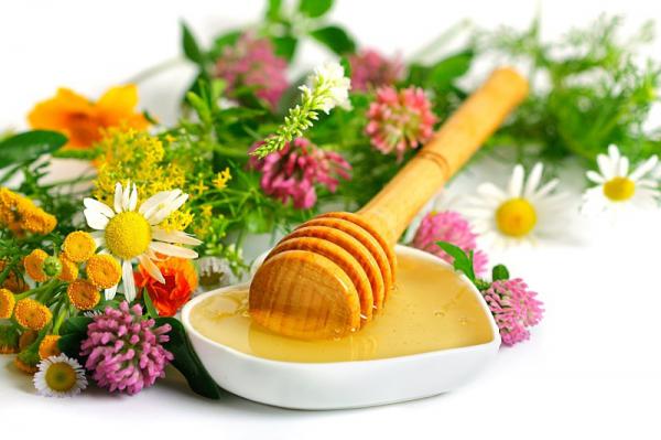 بهترین انتخاب عسل چهل گیاه ارگانیک