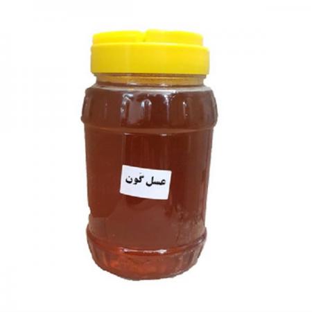توزیع بدون واسطه عسل گون ارگانیک