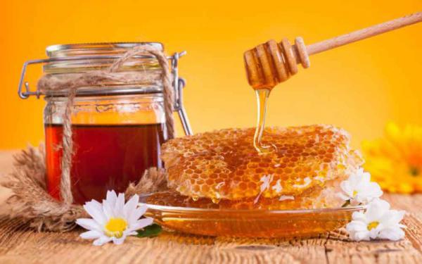 عسل خاصیت ضد باکتریایی دارد