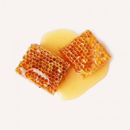 سفارش عمده عسل طبیعی از تولید کننده
