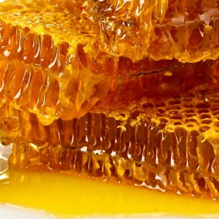 تولید عمده عسل طبیعی در لرستان