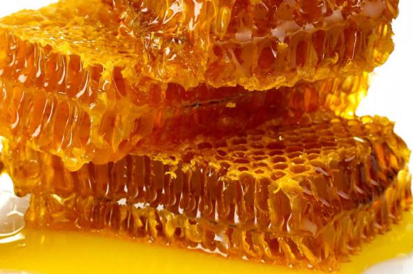 خرید اینترنتی عسل طبیعی وحشی با بهترین کیفیت