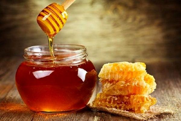 قیمت خرید عسل طبیعی ارزان با بالاترین کیفیت