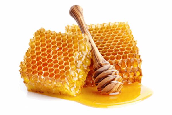 فروش کلی عسل طبیعی ارزان