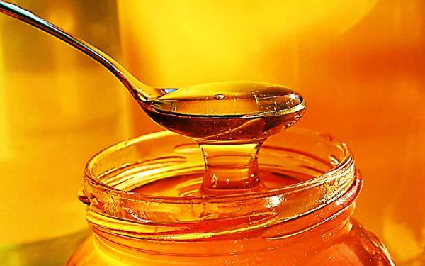 شرکت صادرات عسل طبیعی با بهترین کیفیت
