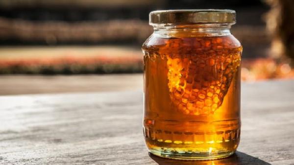 قیمت عمده عسل موم دار سبلان با تخفیف استثنایی