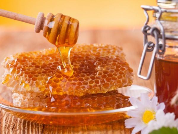 خرید مستقیم عسل طبیعی سرعین از فروشنده