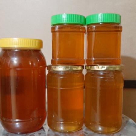 توزیع مستقیم مرغوب ترین عسل طبیعی در تهران