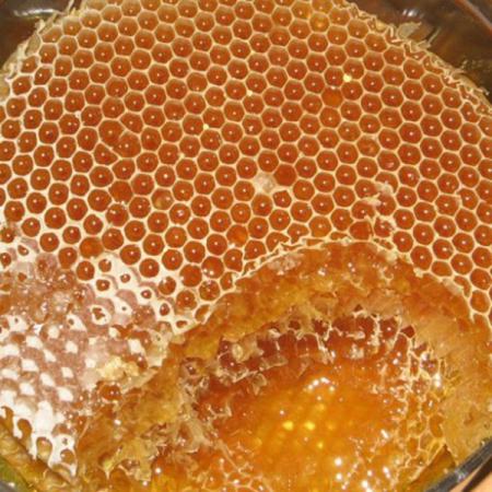 بهترین عسل در کدام استان ها تولید میشود؟