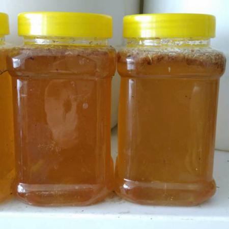 فروش ویژه عسل طبیعی در رشت به صورت عمده