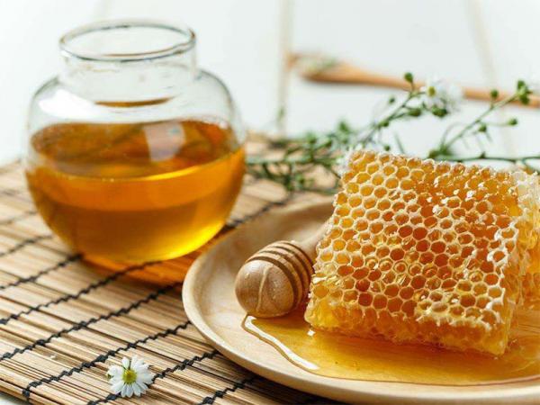 صادرات عسل طبیعی ایران به کشورهای همسایه