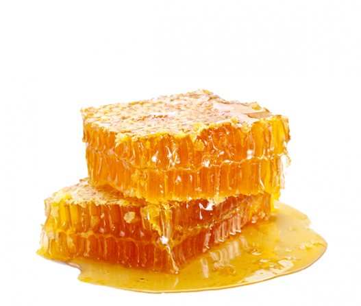 خرید عسل طبیعی اردبیل با بهترین قیمت
