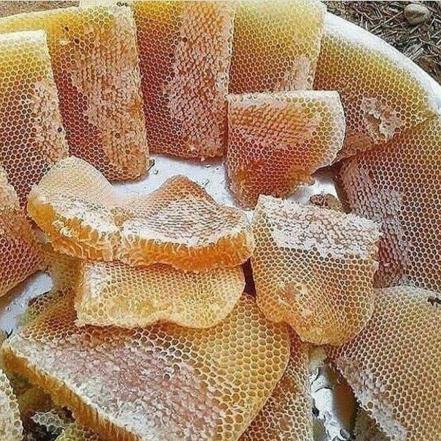 بررسی انواع عسل بر اساس طعم