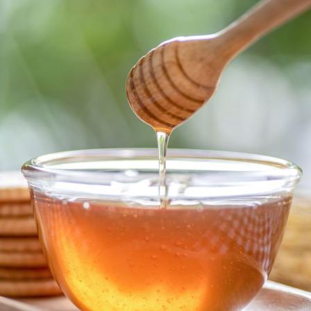 میزان سود حاصل از فروش عسل سبلان در ایران