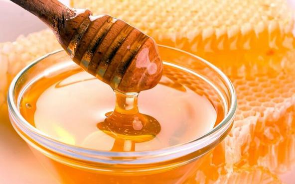 خرید عسل طبیعی در تبریز به قیمت فله