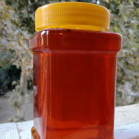 خرید آسان عسل کوهستان گدوک از فروشنده