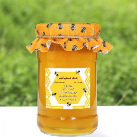 راهنمای خرید عسل گون یک کیلویی