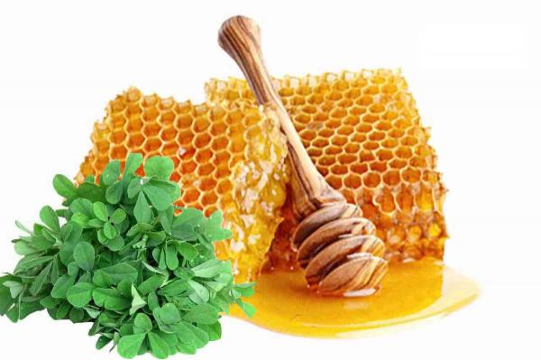 خرید عسل طبیعی جیرفت با بهترین قیمت