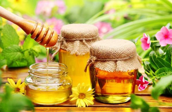 شرکت صادرات عسل طبیعی درجه یک