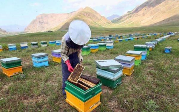کارخانه تولید عسل چهل گیاه در دماوند