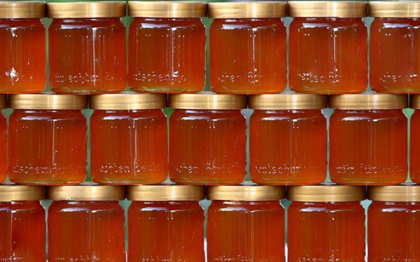 توزیع مستقیم عسل چهل گیاه به صورت عمده