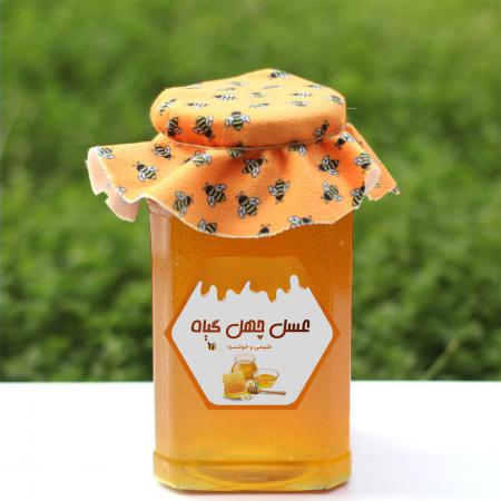 قیمت باور نکردنی عسل چهل گیاه در لرستان
