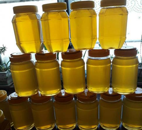 فروش ویژه عسل طبیعی در مراکز معتبر