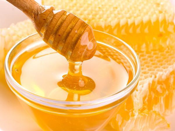 راهنمای کلی تهیه عسل درجه یک