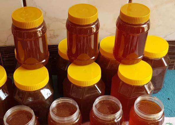 فروش عسل زاگرس خوانسار با قیمت باورنکردنی