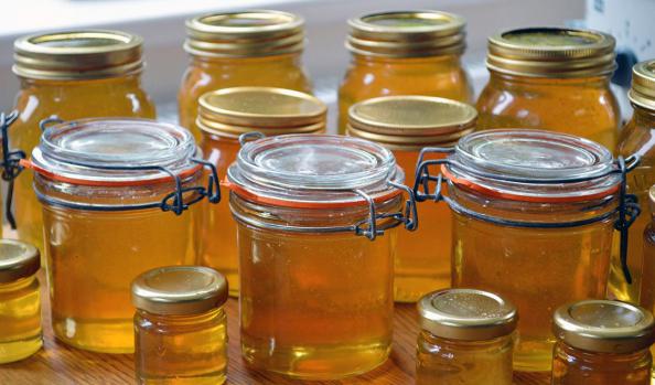 آسانترین راه های صادرات عسل به کشورهای همسایه