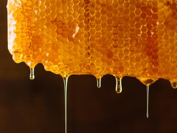 بررسی مشکلات تولید عسل در چند سال گذشته